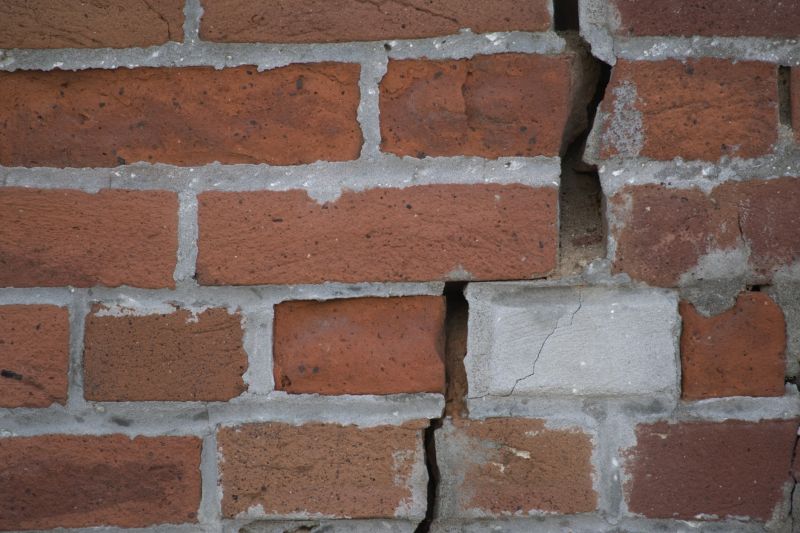 Expert assessing brickwork